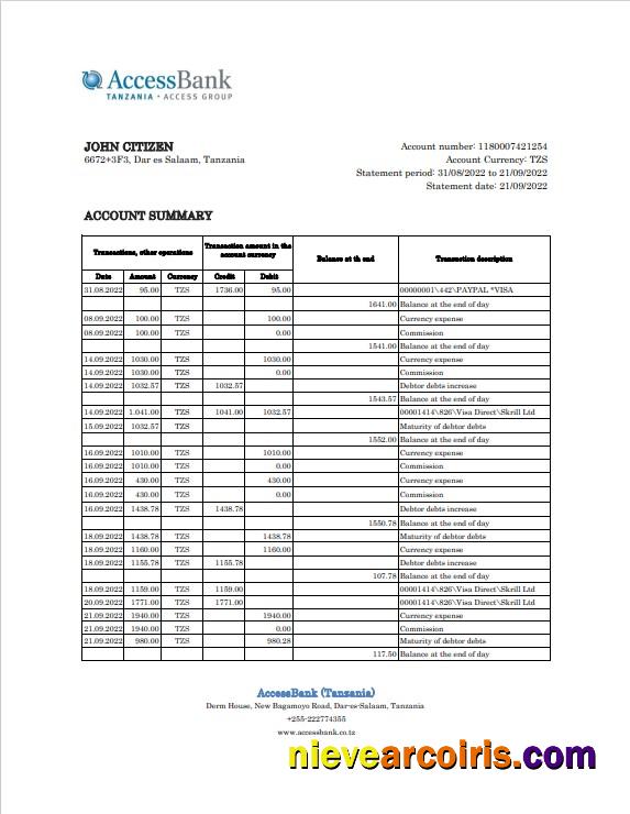 Tanzania Access bank statement, Excel and PDF